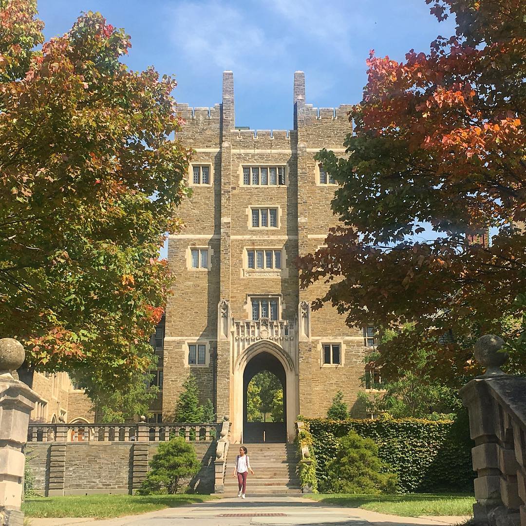 cornell-university